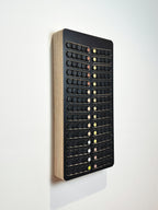 Wall-mounted hair color organizer with black and gold compartments on a white background