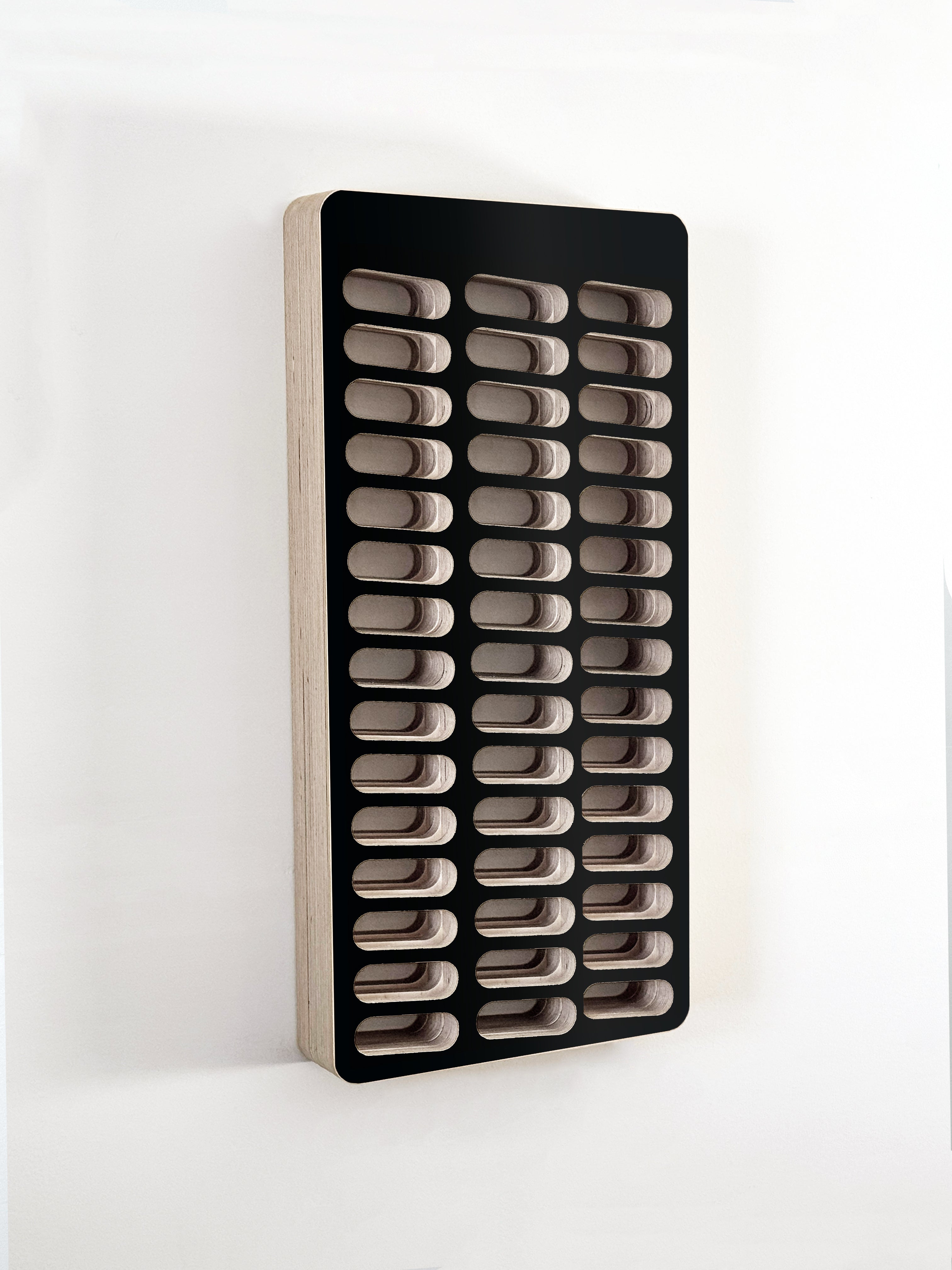 Black Baltic Birch Wood wall-mounted hair color organizer with multiple compartments on a white background